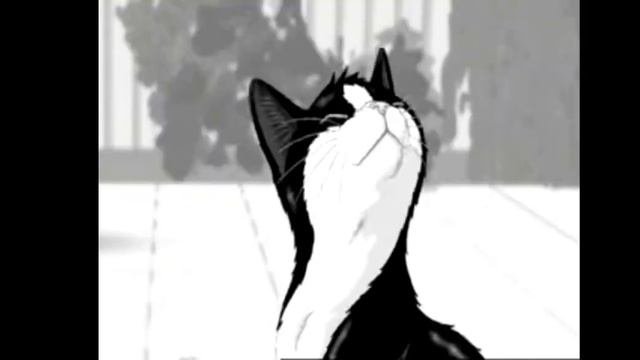 Все Рекламы Felix Part 19