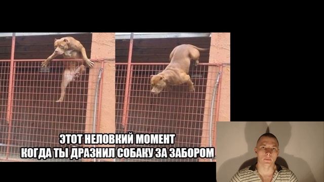 Забор своими руками. #Строим ЖБ Дом. смотреть онлайн