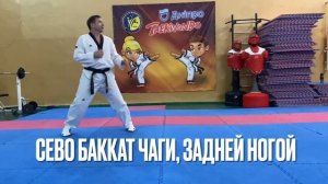 Основные удары в голову в спортивном тхэквондо ВТФ