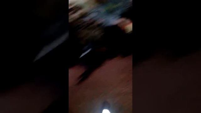 Утро в женской общаге