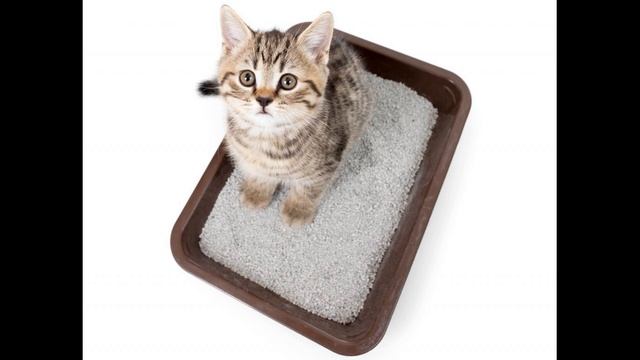 Срочно!!! Нет времени на стирку!! Как без стирки избавить одежду от неприятных запахов смотреть онлайн