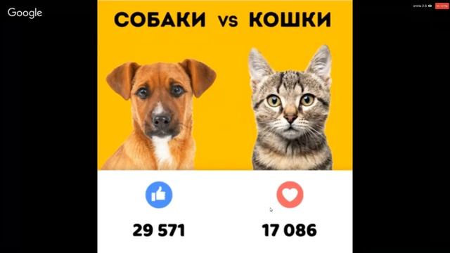 Собака или кошка