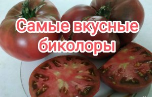 Лучшие сорта и гибриды крупноплодных ,биколоров и желтых томатов._The best varieties of tomatoes.mp4