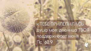 ТЫ ОЖИВИЛ МЕНЯ | СЛОВО ВДОХновения | Любовь  | мотив | Новополоцк | Love | Inspiration