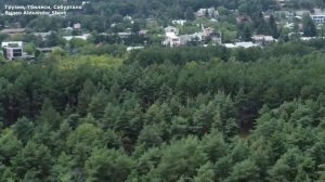 Автомобильные штрафы в Грузии: за что штрафуют и как оплачивать