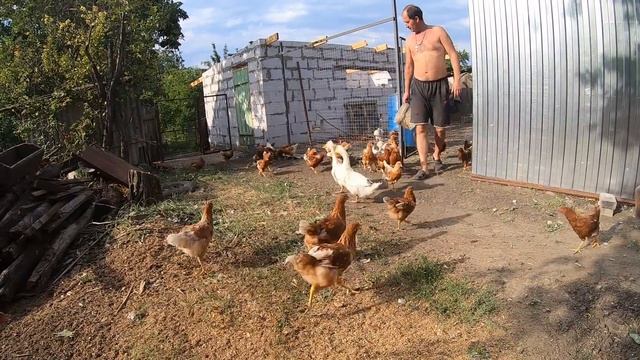 Уборка на хоздворе. Делаем тротуарную плитку. смотреть онлайн