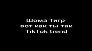 Шома тигр (Shoma Tigr) вот как ты так #шоматигрвоткактытак #тикток #tiktok