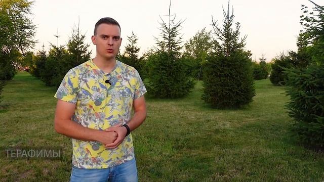 Что такое "терафимы". Видео из канала "Иудейские древности" смотреть онлайн