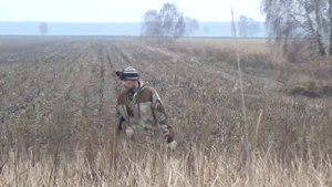 ОСЕННЯЯ ОХОТА НА ЗАЙЦА И УТКУ. На этой охоте было все утки, заяц, косуля и хитрый гусь.