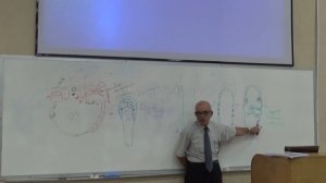 Embryology Dr.Jamal | GIT 1