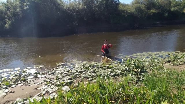Рыбалка сачком, закрываем сезон. смотреть онлайн