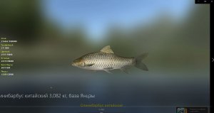 Спинибарбус китайский 3,082 кг, Базовый трофей, база Янцзы, игра Трофейная рыбалка 2.mp4
