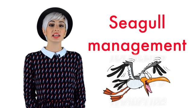 Неологизмы в английском. Like shock, Seagull management, Phone yawn и др. смотреть онлайн
