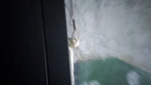 Как тараканы проникают в квартиру и где прячутся.