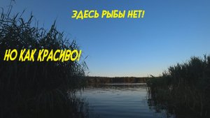 Красоты Белгородского края. Белгородское водохранилище. Учу жену ловить на спиннинг.