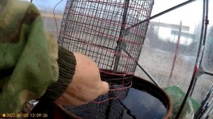 Подогрев воды для полива.в бочках