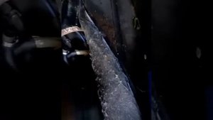 Замена топливного нассоса опель омега б