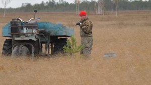 Как собирают клюкву в Сибири. Васюганское болото. How we harvest cranberries in Siberia
