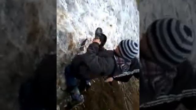 золото-искатель