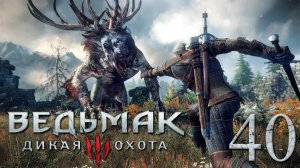 Ведьмак 3: Дикая Охота (The Witcher 3: Wild Hunt). РАСПУТЫВАЯ КЛУБОК, ЧАСТЬ 1. # 40