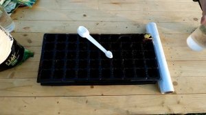 Как вырастить зелень дома на подоконнике |базилик, рукола, фасоль, шпинат, салат Одесский, редис !