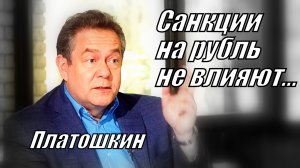 Платошкин.Н.Н. Кратко про рубль..