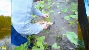 Дневная рыбалка на реке Терешка весной