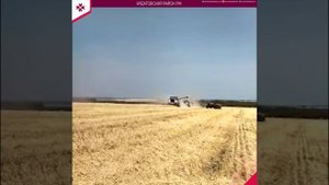 Уборка зерновых в районе
