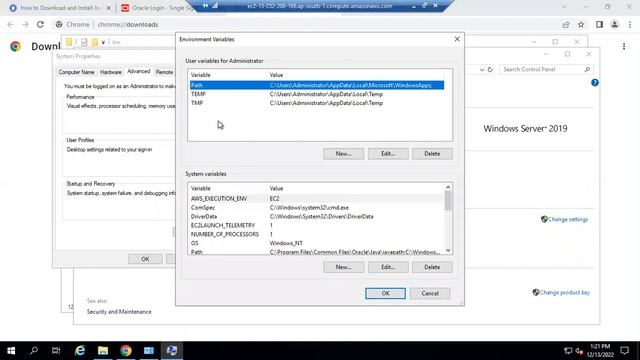 Download and Install Oracle Java 11 on Windows EC2| JAVA_HOME| How to Install Jenkins on Windows EC смотреть онлайн
