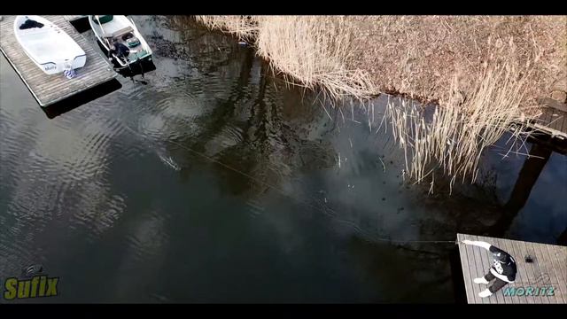 Angelsport Moritz Tackle on Focus, MEGA Schnur !! Sufix Rapinova X8 смотреть онлайн