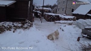 АЛАБАЙ ТЕЧКА