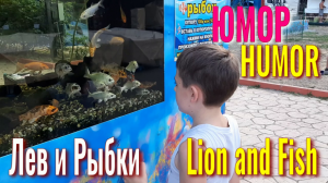 ЮМОР! Лев и Рыбки. Смешной, Детский Ролик, снятый в Зоопарке с аквариумными рыбками. Животные. Рыбки