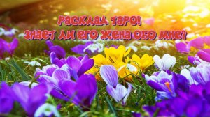 РАСКЛАД ТАРО! ЗНАЕТ ЛИ ЕГО ЖЕНА ОБО МНЕ???