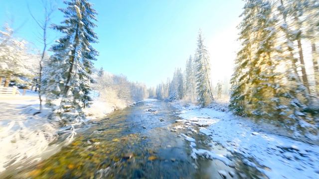 Видео с Максимальной яркостью Dolby Vision 12K HDR 120 кадров в секун Dolby Vision 12K HDR 120fps смотреть онлайн