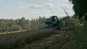 Комбайны СК-5М-1, уборочная, как в старые добрые времена!