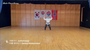 Ji 2 jang/  TTU poomse nr 9/ 지 2 장/ 전통태권도회/ Traditional Taekwondo Union