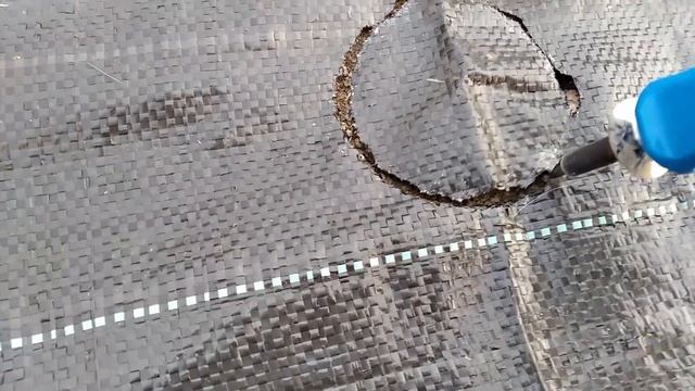 Посадка клубники под  агроткань