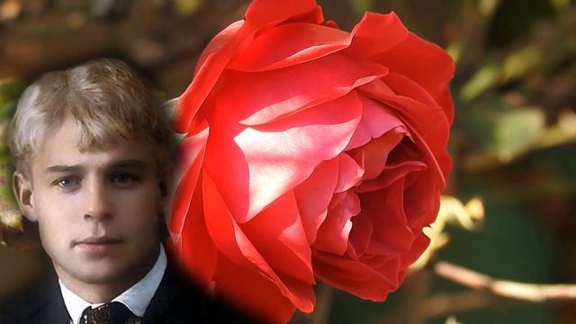 Мы теперь уходим понемногу. Есенин. Стихи. ✔✔