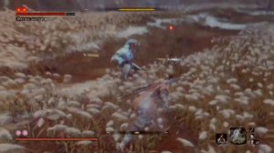 Sekiro: Shadows Die Twice Мастер меча Иссин Асина