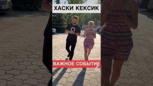 ХАСКИ КЕКСИК  #18062023 #denidonbass #денидонбасс #хаскикексик #гдетовднр