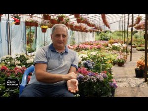 Цветовод-селекционер Сергей Музаев I Дело мастера