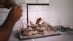 Vampire Crab Island - Aquascaping Paludarium with a Waterfall