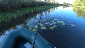 Щука на вертушку Mepps Black Fury. Рыбалка с лодки на реке Барбастау.