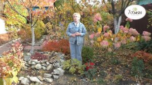 КАК ПРАВИЛЬНО ОБРЕЗАТЬ ПИОН ОСЕНЬЮ!