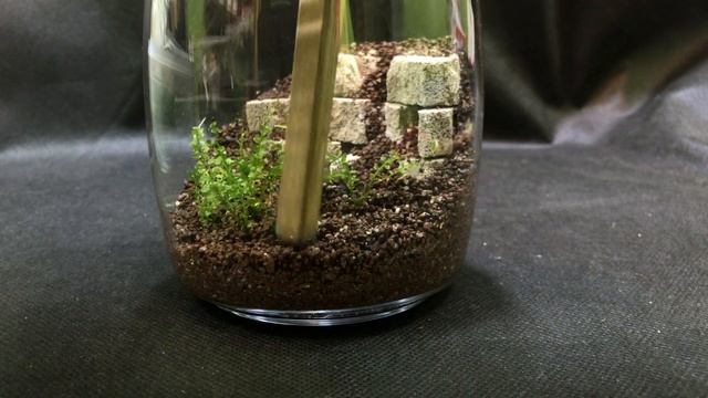 Флорариум из пемзы и мха! смотреть онлайн