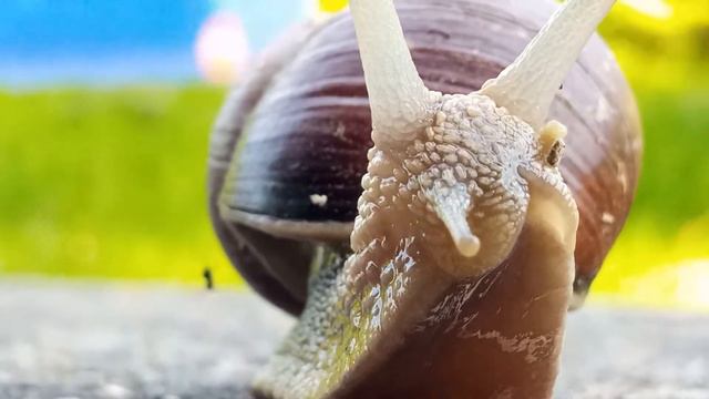 камень в глаз попал смотреть онлайн