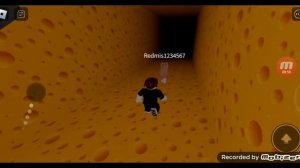 2часть ЛАБИРИНТ С МЫШЬЮ. В Roblox.
