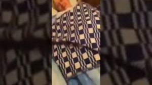 Дед и внучка  Часть 3   240p