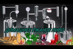 Домашнее ржаное пиво из Бородинского хлеба