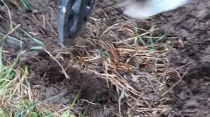 Коп с металлоискателем Fisher f11 #2